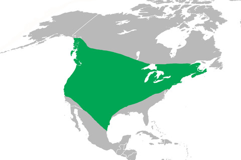  Range map of Gryllus pennsylvanicus